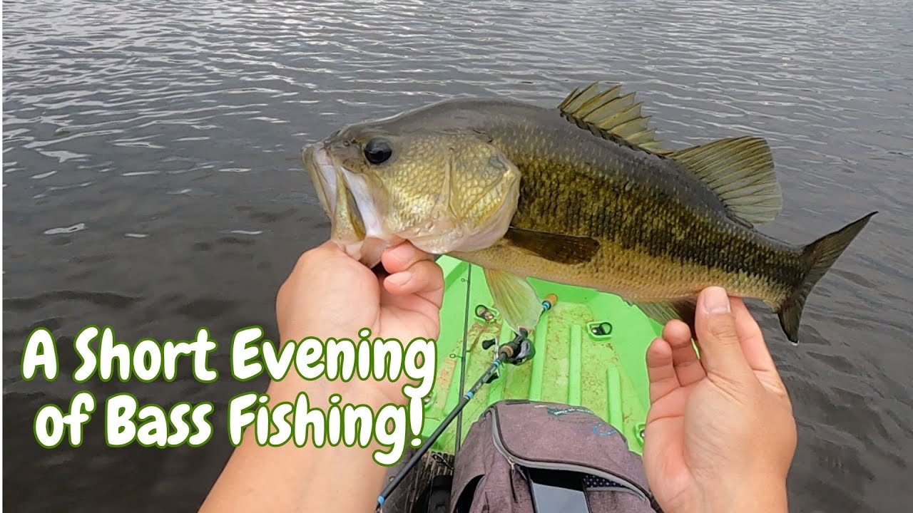 A Short Evening of Bass Fishing | J-Hooked Fishing