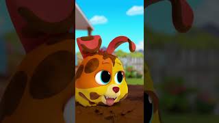 O Novo Amigo Do Bingo Úsica