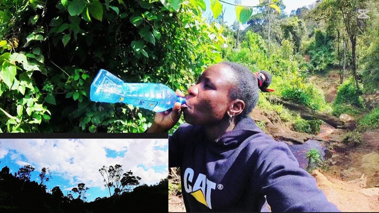 Living life/ nature walk trying to find drinking water in the forest ALONE