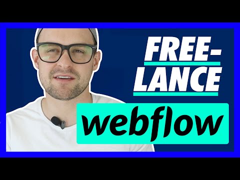 Vídeo: Normes Bàsiques Del Freelance