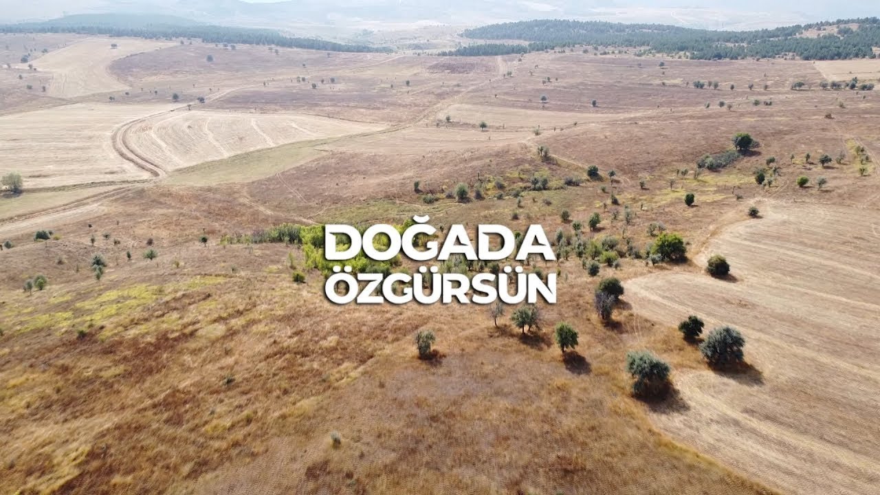 Doğada Özgürsün 2. Sezon 2. Bölüm / Enez Bıldırcın Avı