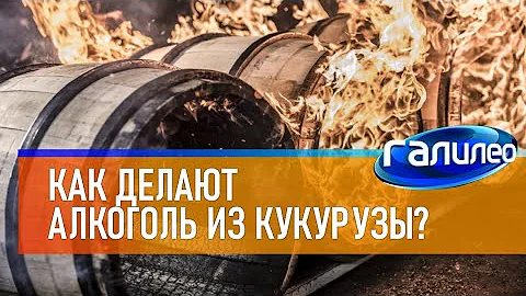 Галилео 🍷 Как делают алкоголь из кукурузы?