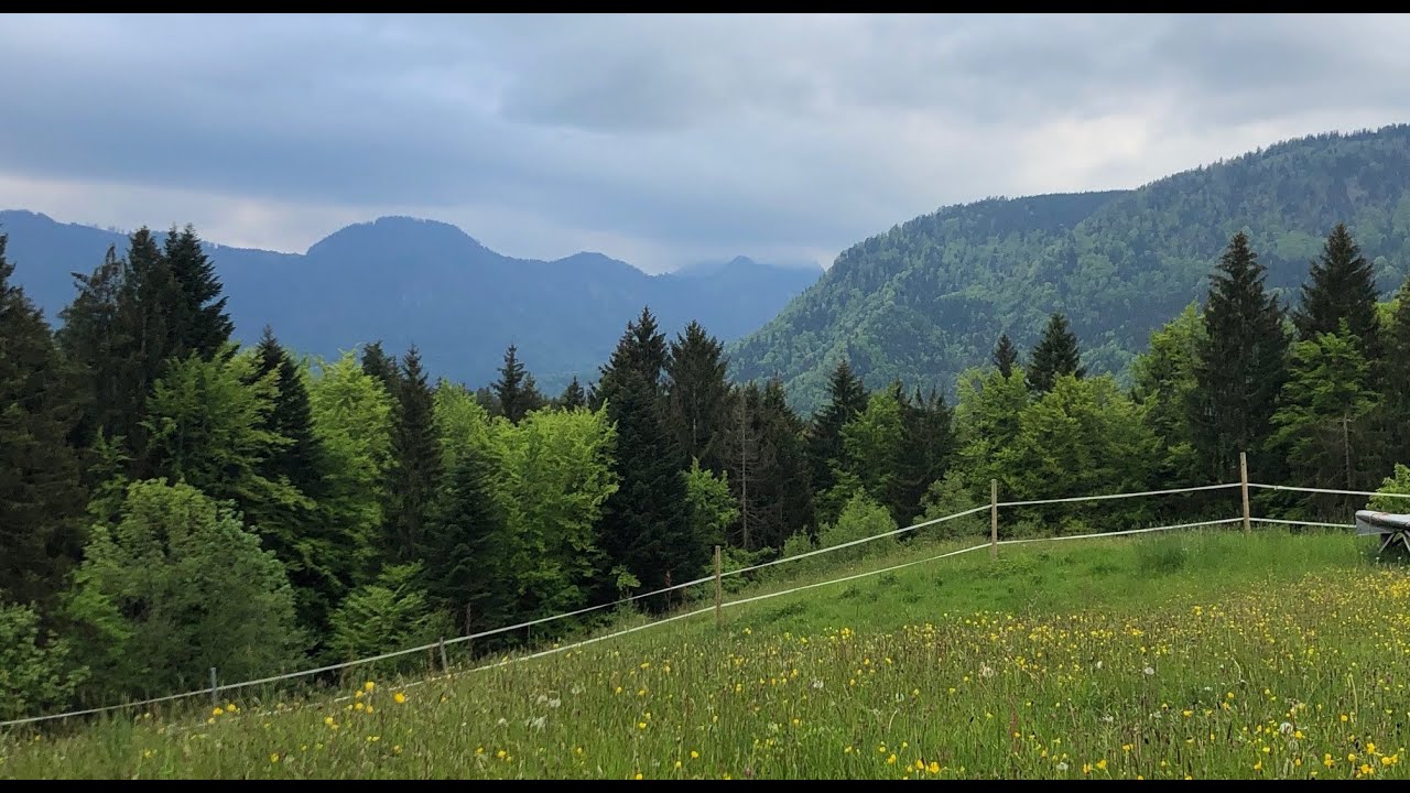 My workaway experience in Bavaria, southern Germany