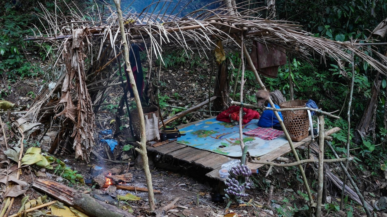 นอนเพิ่งพักในป่าลึกของใครไม่รู้ ต้นไทรยักษ์ล้มพาดห้วย ดงกบทั้งกินได้และไม่ได้ [วรวิช]