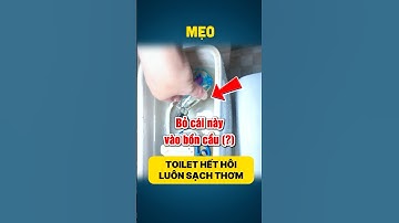 #MẸO 836 | Cách giữ toilet luôn sạch thơm mà ai cũng làm được!
