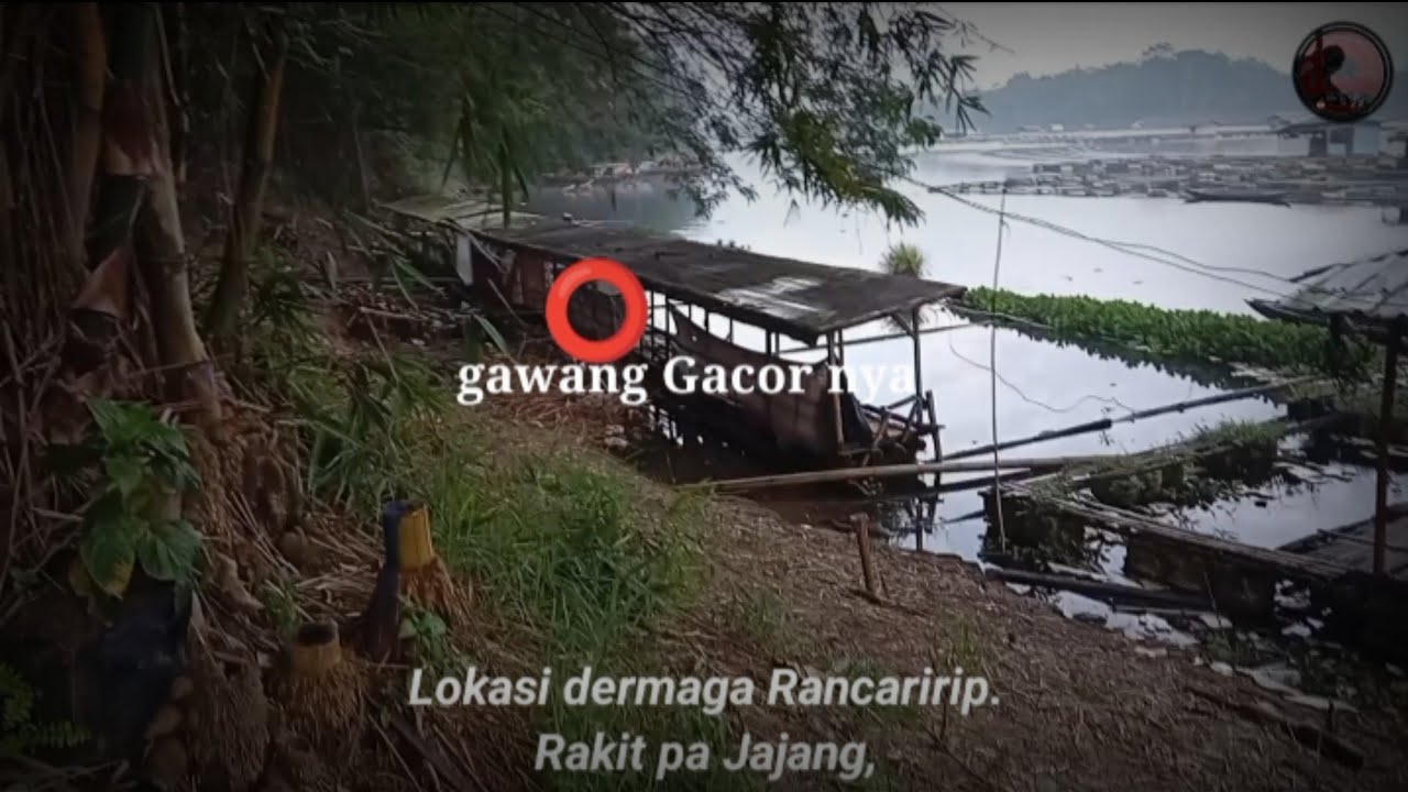 🔴TERBARU‼️Gawang Gacor Saguling Rancaririp Pinggir Dermaga #mancingsagulingterbaru2026 #mancingnila