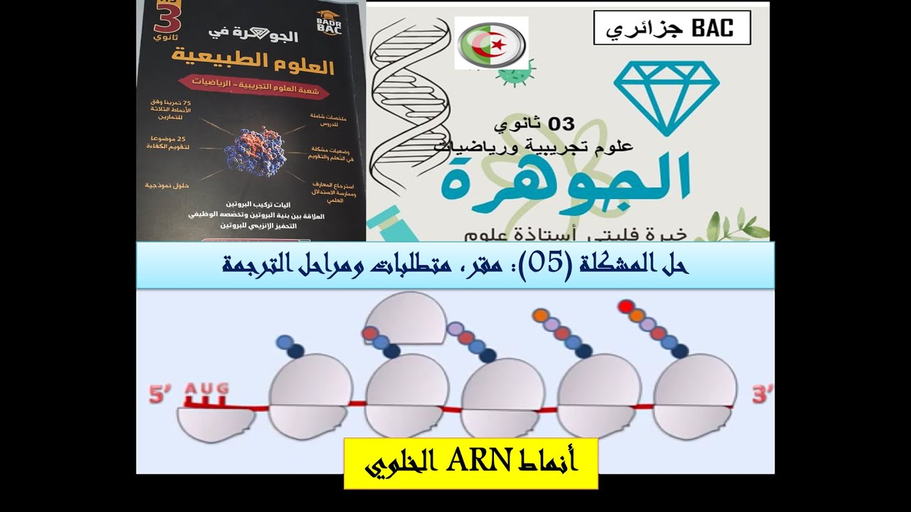 متطلبات الترجمة تحليل نتائج انماط ARN الخلوي عند البكتيريا