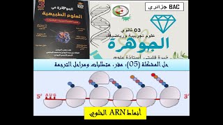 متطلبات الترجمة تحليل نتائج انماط ARN الخلوي عند البكتيريا