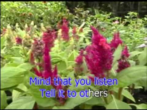Timeless Christian Songs [Volume 2] (2008 DVD Karaoke) [Full