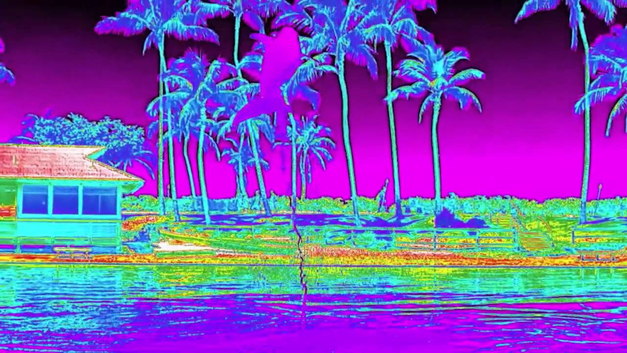 Dolphin Bow in FLIR Thermal!