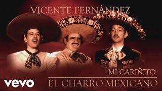 Video thumbnail of "Vicente Fernández - Mi Cariñito (Cover Audio)"