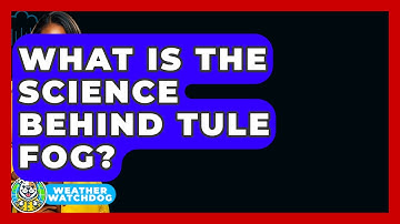 What Is The Science Behind Tule Fog? - Weather Watchdog