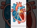 The Wandering Rhythm: Mastering Multifocal Atrial Tachycardia (MAT)