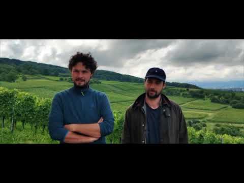 Vitis Vin I Meet the Winemaker I Weingut Claus Schneider I 2021 Vitis Vin I Meet the Winemaker I Weingut Claus Schneider I 2021