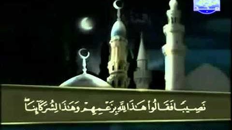 القران الكريم|الجزء الثامن(8)|الشيخ عبد الباسط عبد الصمد