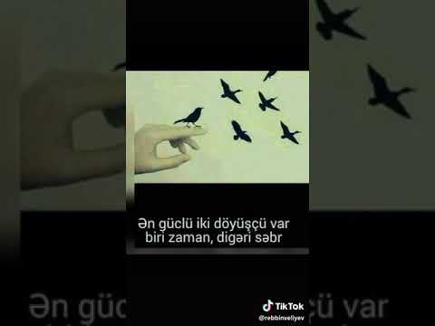 Heyatınızın  qedirini bilin birdefe gelirik  bu dünyaya yaxşılıq edin herzaman