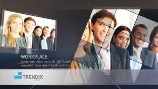 Trendix Graphical Presentation