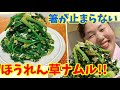 【茹でて和えるだけ】簡単シンプルで美味しい”ほうれん草のナムル”!~本場の韓国料理~