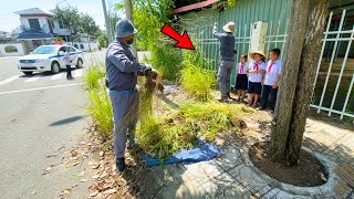 Download Lagu The sidewalk cleanup near the cultural center left everyone passing by saying: Absolutely amazing! MP3