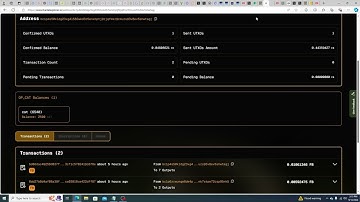 Where To Check Your CAT20 $CAT Balance On Fractal Bitcoin - Not Unisat