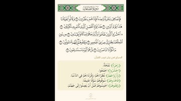 السراج في بيان غريب القران سورة الصافات 3 تلاوة الشيخ سعد الغامدي