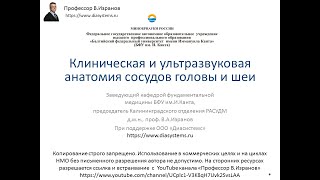 Клиническая и ультразвуковая анатомия  сосудов головы и шеи. Демонстрация на пациенте.