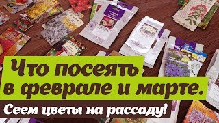 Какие цветы посеять в феврале и марте  Советы цветовода