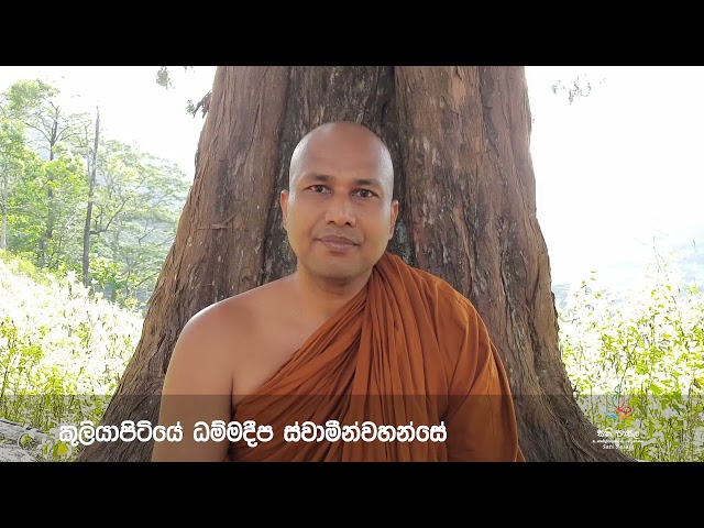 || නුරුස්නා බවට සතිමත් වෙමු... ||  කුලියාපිටියේ ධම්මදීප ස්වාමීන්වහන්සේ