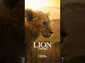 LION -王国の物語- – 予告編 | ナショジオ