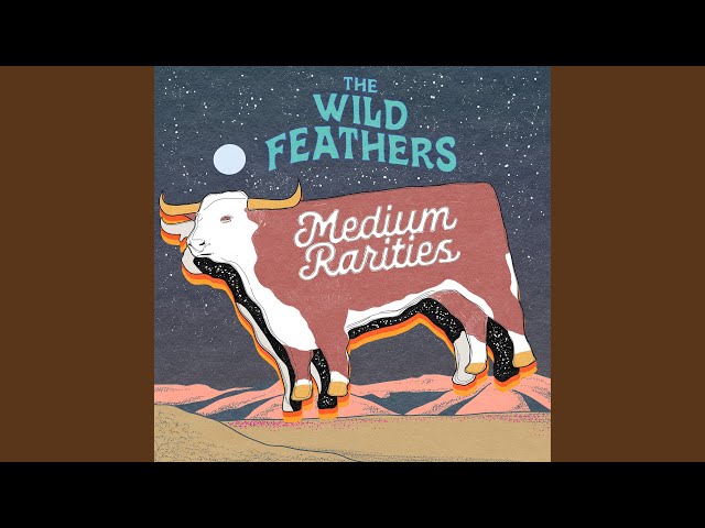 The Wild Feathers - Guitar Man