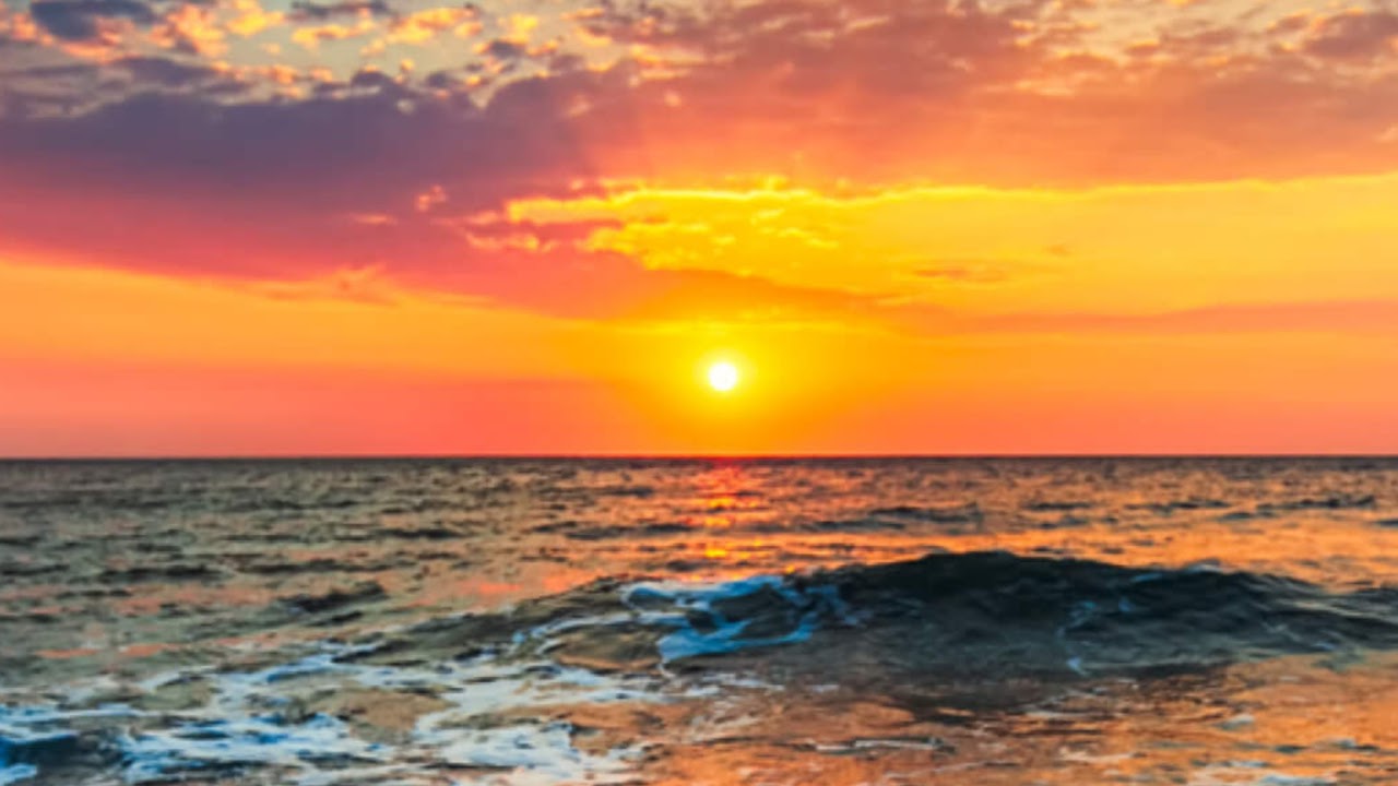 Christopher Rocha and Marcus Stokes Commissioning