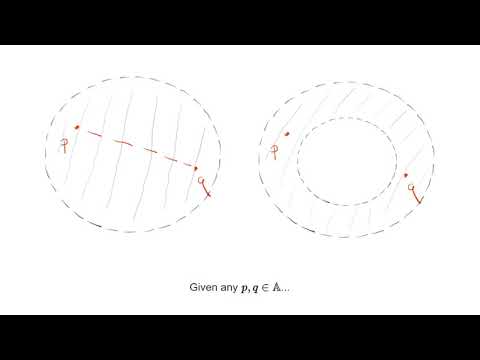 A glimpse into Algebraic Topology