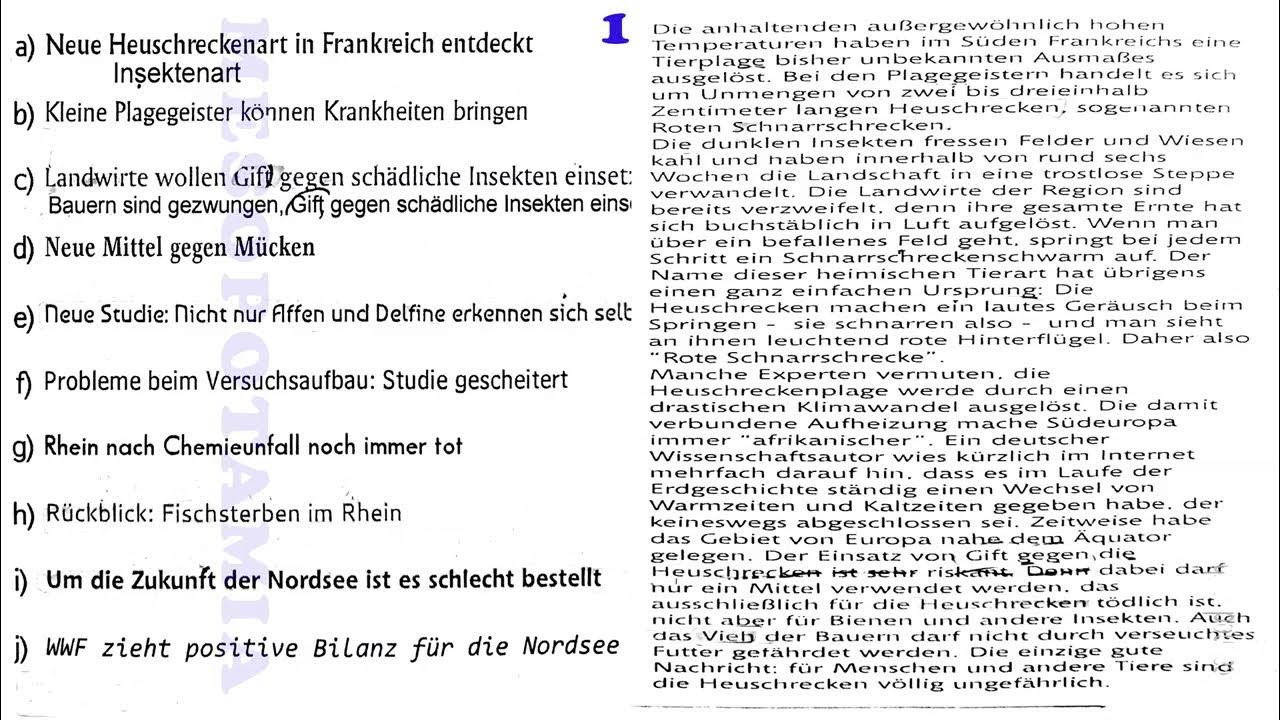 Leseverstehen B2 übungen Mit Lösungen