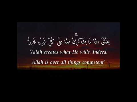 سورة النور بصوت الشيخ ماهر المعقلي حالة واتس سورة النور بصوت الشيخ ماهر المعقلي حالة واتس