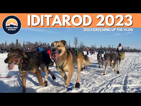 The 2023 Iditarod Sled Dog Race Viewed from a Local Party Spot