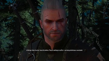 The Witcher 3 - The Nithing - Saving the child