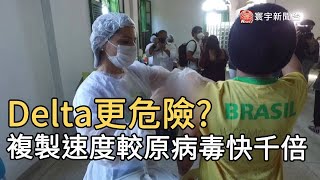 Delta更危險 複製速度較原病毒快千倍@globalnewstw