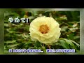 A06-541  恋の追跡 欧阳菲菲