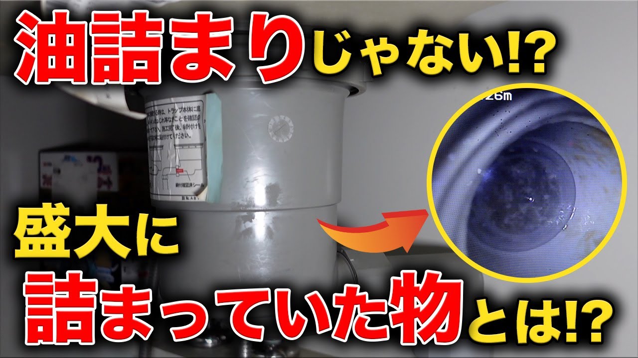築２６年前業者が２社入ってお手上げ！！トータル１５万かかっても直せない詰まりとは？そして花は珍しくオコ！！【花のお掃除 #189】