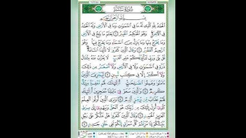 سورة سبأ الآيات 4-5 تلاوة الشيخ أيمن سويد #قليل_دائم_خير​