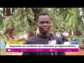 Ongezeko La Mwitikio Wa Mitandao Ya Kijamii Nchini Ongezeko La Mwitikio Wa Mitandao Ya Kijamii Nchini
