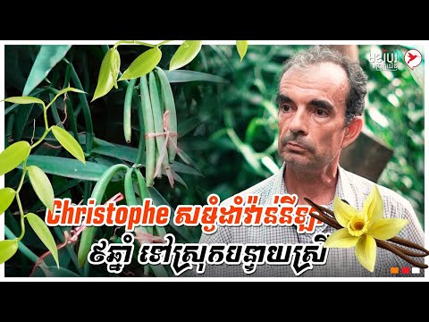 Christophe សម្ងំដាំវ៉ាន់នីឡា ៩ឆ្នាំ នៅស្រុកបន្ទាយស្រី | កម្មវិធីមុខរបរស្រុកយើង