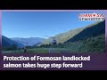 Protection of Formosan landlocked salmon takes huge step forward｜Taiwan News
