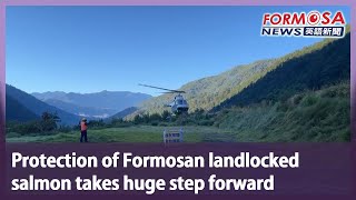Protection of Formosan landlocked salmon takes huge step forward｜Taiwan News screenshot 4