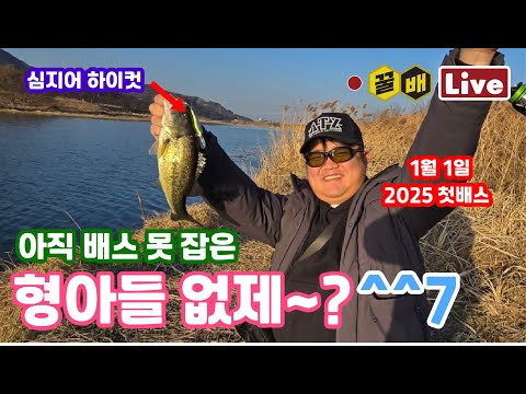 [꿀배Live Vol.<strong>308</strong>]