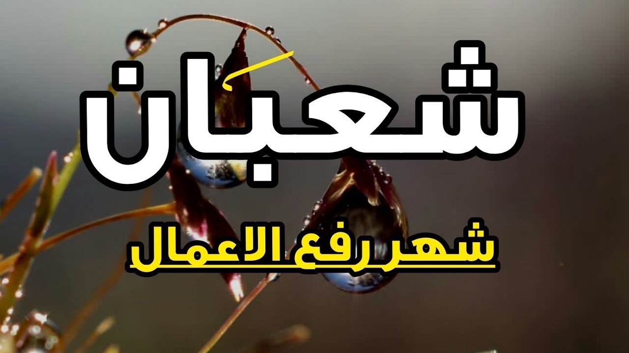 شهر شعبان ورفع أعمال العباد ...د/ نجيب البارد.