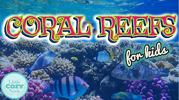 Coral Reef for Kids | Science for Kids