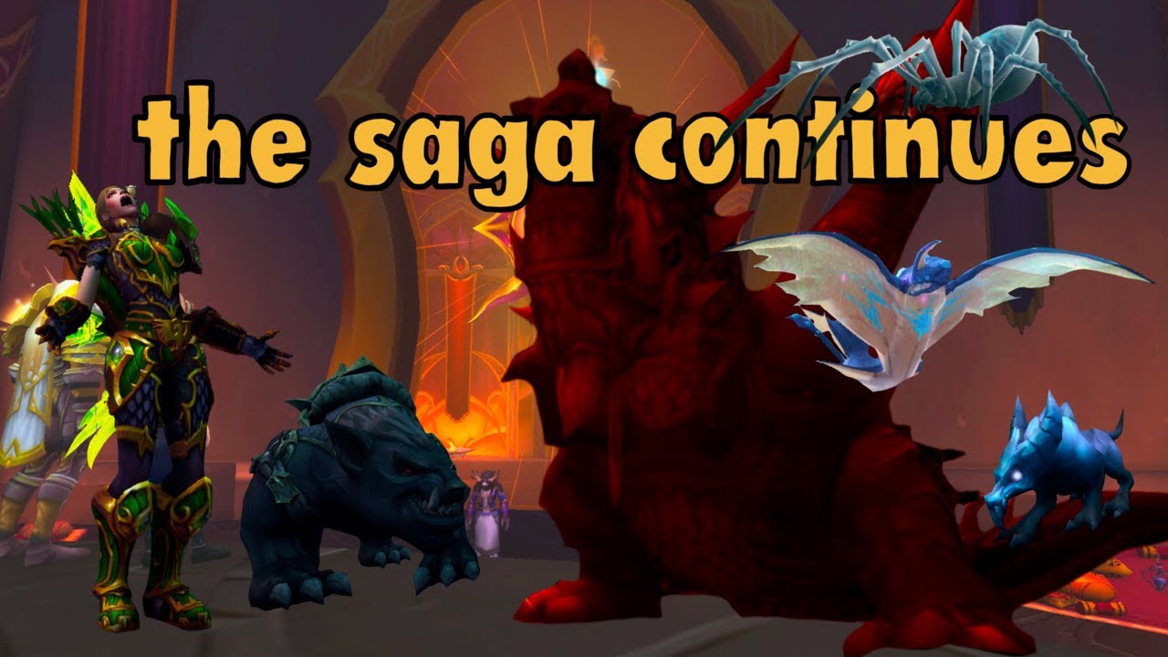 more Trial of Style Salt, another Tame gone wrong and many SPECIAL pets