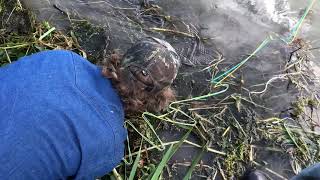 Blowing up the Beaver Dam 2019