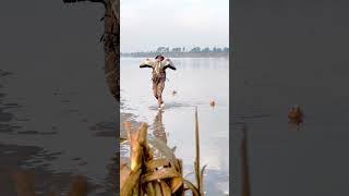 bird eagle jrairhunting top duck hunting in pakistan